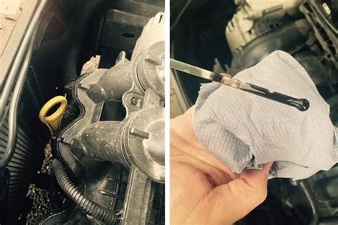 Do You Check Engine Oil with Car Running? And Why Do Cats Always Land on Their Feet?