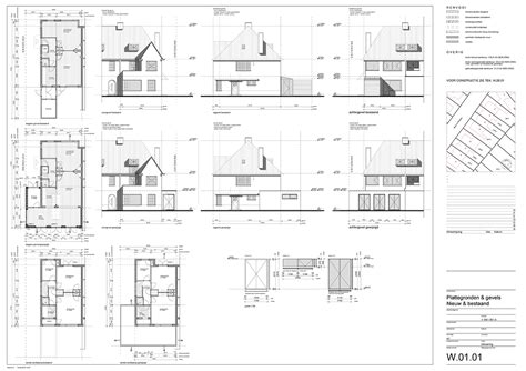  Kammerwebspin! Een sluwe architect met een talent voor de meest complexe vangsten