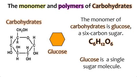 What is a Carbohydrate Monomer, and Why Does It Dance with Proteins?