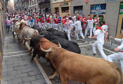 Where to Stay in Pamplona for Running of the Bulls: A Guide to Navigating Chaos and Comfort