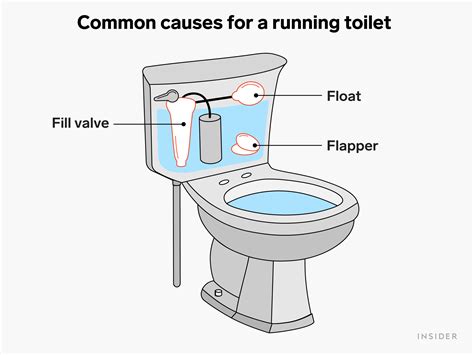 Why Does My Toilet Start Running for No Reason, and Could It Be Secretly Communicating with the Neighbors?